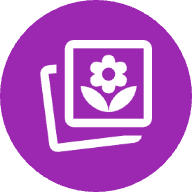 Free Online Image Converter